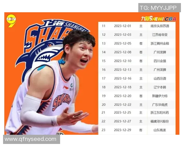 上海篮球队个人能力分析聚焦球队发展与未来潜力探讨 上海篮球队个人能力分析聚焦球队发展与未来潜力探讨