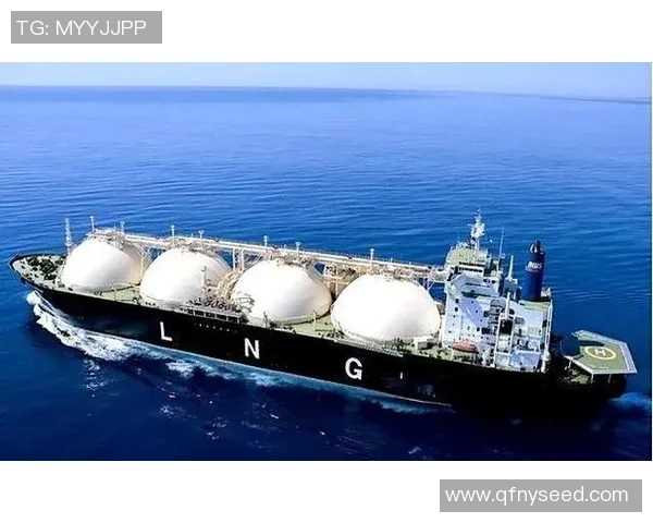 专业解析LNG市场的防御与反击策略探讨