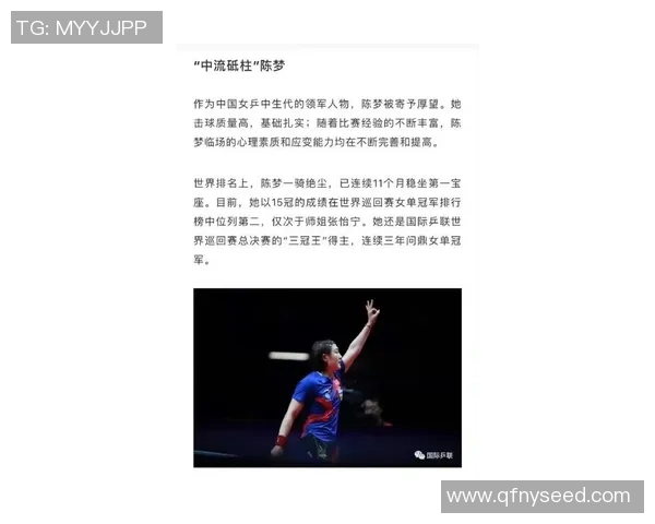 乒乓球传奇陈静的职业生涯与心路历程深度对话