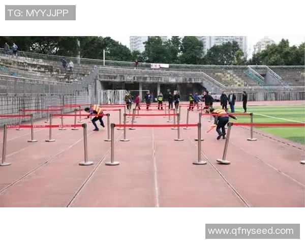 从零基础到高手：全面掌握排球比赛的技巧与策略指南