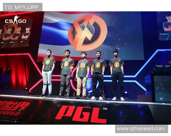 从青涩玩家到职业战队领袖：张磊的CSGO成长之路