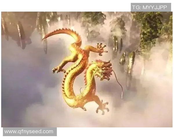 全明星赛特别报道：见证V5从新秀到强队的成长历程与奋斗精神