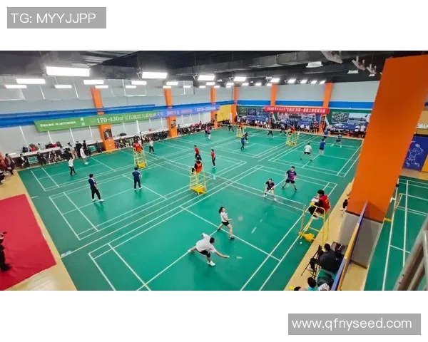 全国锦标赛分析：北京羽毛球队意识表现的深度剖析与启示