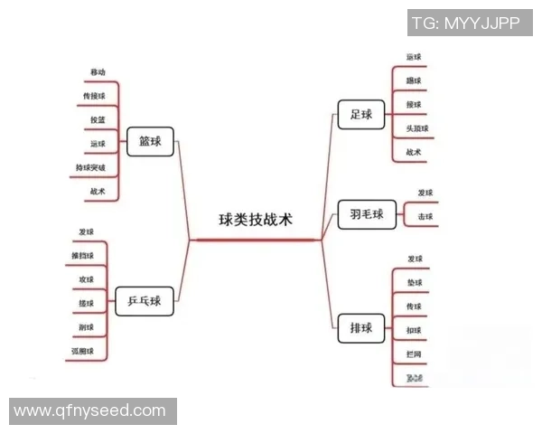 北京篮球队在锦标赛中的战术分析与表现评估探讨 北京篮球队在锦标赛中的战术分析与表现评估探讨