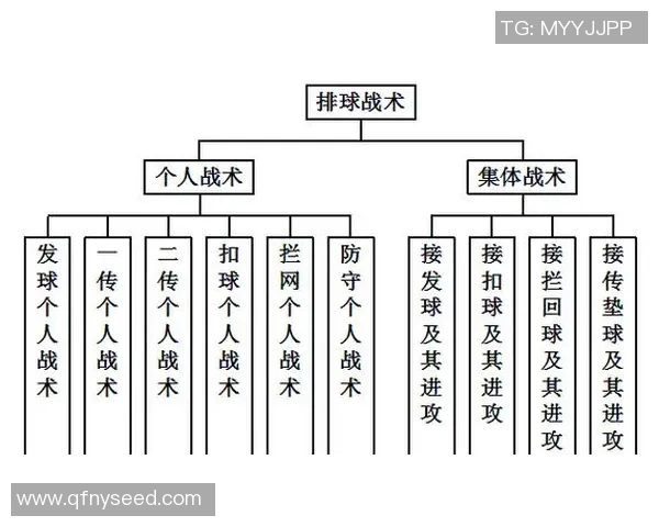广州排球队快攻战术解析与深度剖析排球竞技的魅力与挑战 广州排球队快攻战术解析与深度剖析排球竞技的魅力与挑战