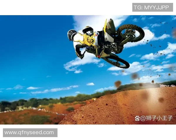 杭州极限运动队团队协作引发热议探讨极限运动的挑战与合作精神