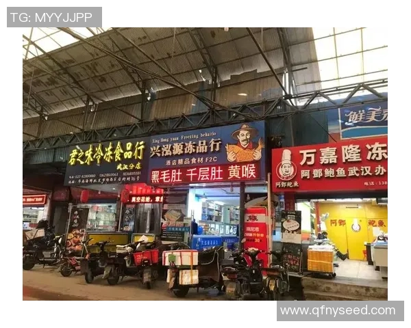 武汉排球队意识争议引发热议球迷与专家各执己见的背后故事