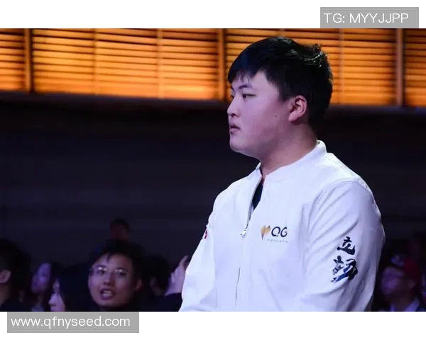 英雄联盟盛宴：深入解析RNG战队的无穷魅力与实力之源