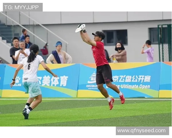 飞盘比赛经验排行榜揭晓杭州飞盘队荣获第五名成就斐然